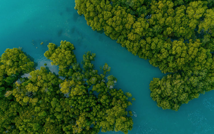 核心價值觀（guān）