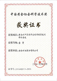 黃金礦產資源開發利用經濟技術評價係統